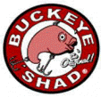 Tennessee Bass Guides sponsor Buckeye Shad