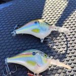 Tim's Ford 11-15-2025 028 - Copy